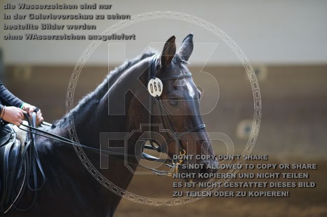 s_K3F02061.JPG